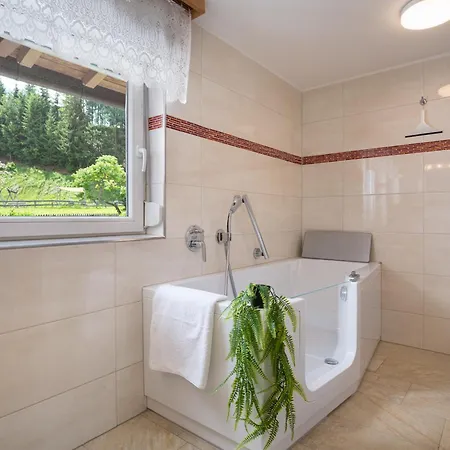 شقة Haus Anna كيرشبرغ ان تيرول